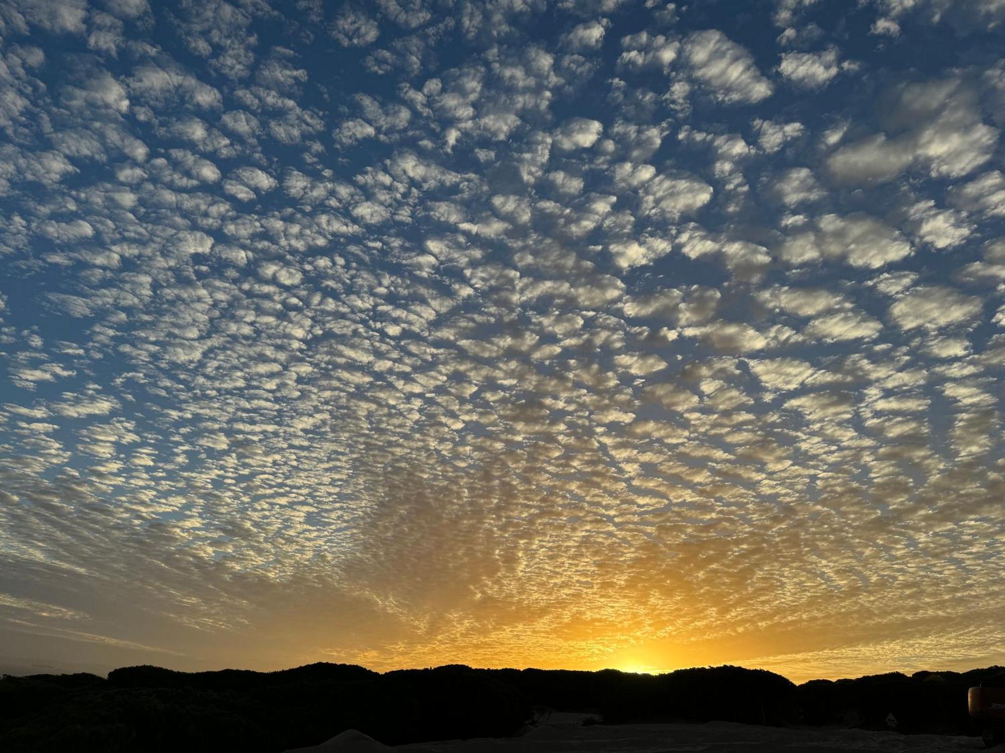 דירות חרז Atico Sonnenschein מראה חיצוני תמונה